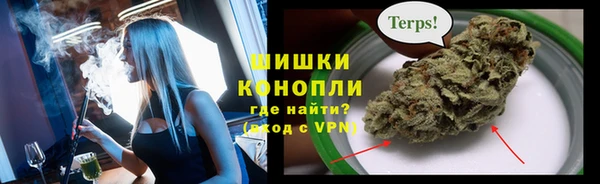 spice Ельня