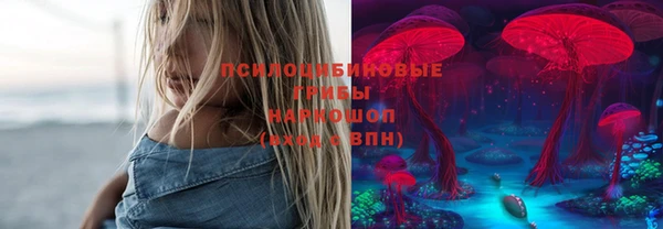 гидропоника Алзамай