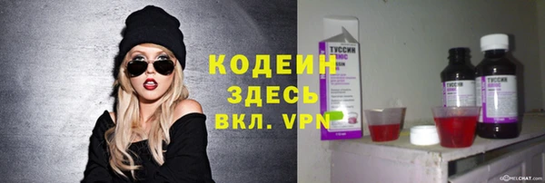 стаф Елабуга