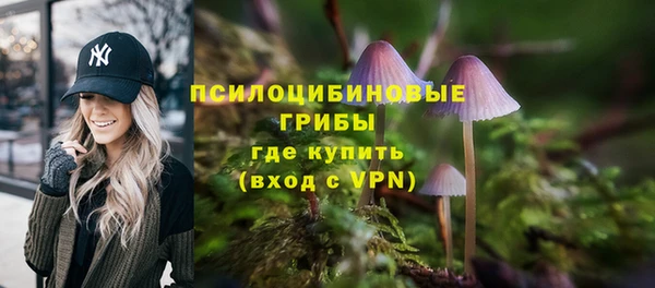 гидропоника Алзамай