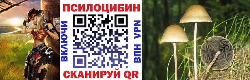сайты даркнета клад  Гурьевск  Галлюциногенные грибы мицелий  купить наркотик 