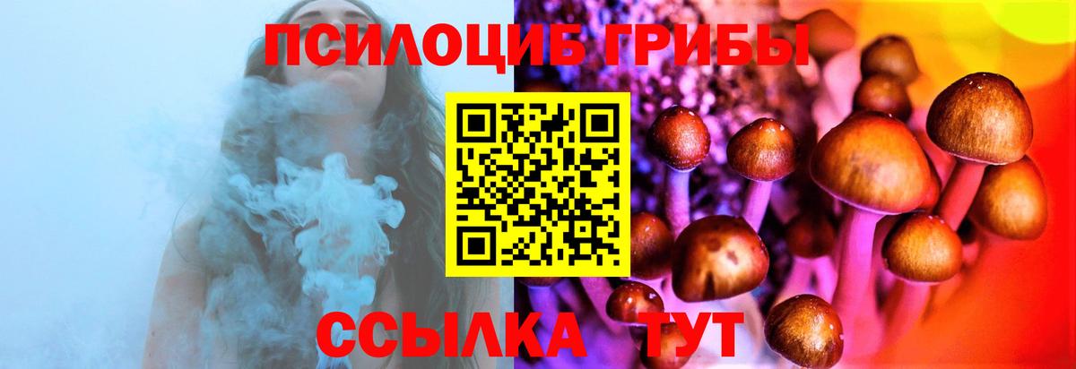 Галлюциногенные грибы Psilocybine cubensis  Вход с VPN  Псилоцибиновые грибы ЛСД  Гурьевск 