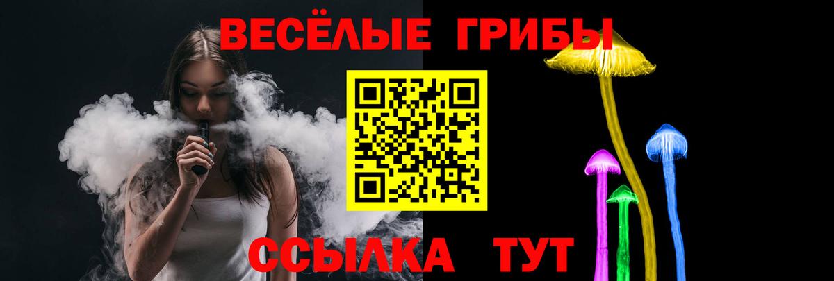 Псилоцибиновые грибы GOLDEN TEACHER Гурьевск