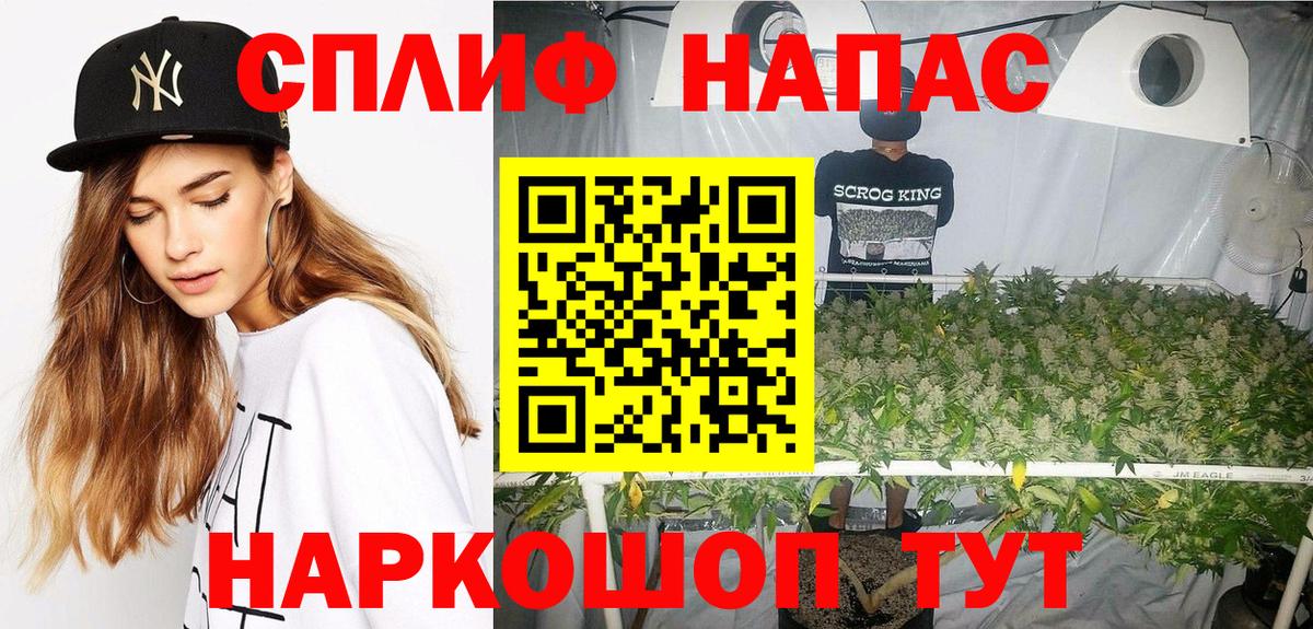 Бошки Шишки план Гурьевск